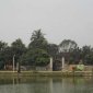 Đền thờ Nguyễn Chích