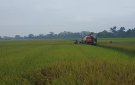 Người dân xã Đông Ninh phấn khởi xuống đồng thu hoạch lúa vụ Chiêm  Xuân năm 2019.