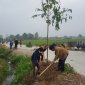 Xã Đông Ninh tổ chức tết trồng cây đời đời nhớ ơn Bác Hồ. 